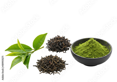 Fresh dewy Camellia sinensis leaves, dark loose-leaf tea, and bright emerald matcha powder in a wooden bowl, transparent background, high key lighting, macro detail, concept for organic tea product
