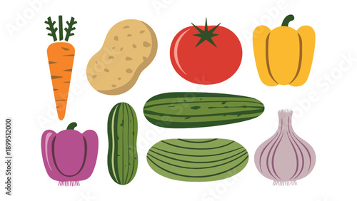 Colorful illustration of various vegetables on white background