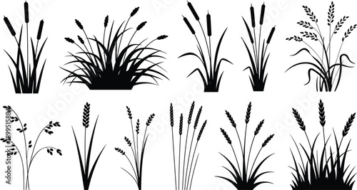 Collection of black silhouette of various wetland plants including cattails and grasses, showcasing diverse botanical forms