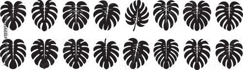 stylized skull icons pattern black, gothic skull symbols collection isolated, edgy horror graphic elements