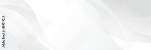 white abstract background gradient shape modern banner design