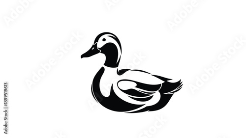 a detailed black and white duck illustration elegant and graceful silhouette