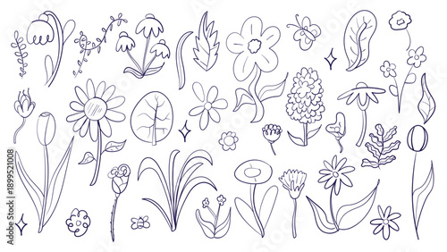 Doodle flowers set. Spring hand drawn flowers. Flat vector illustration.