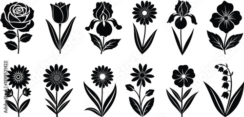 Black floral silhouettes collection featuring roses, tulips, daisies, and wildflowers, botanical vector illustration set isolated on white background for 