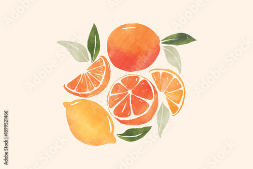 Set of colorful oranges, citrus, lime, tangerine summer fruit