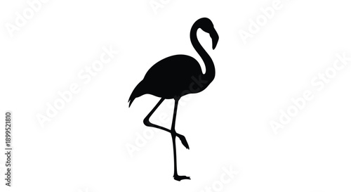 Elegant flamingo standing with curved neck a striking silhouette