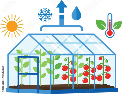 Smart greenhouse climate control system with tomatoes, sustainable agriculture, hydroponic farming, temperature  management, flat vector illustration, solar irrigation technology