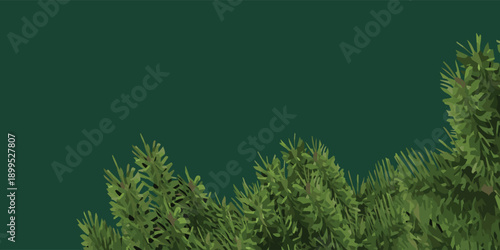 Lush Green Pine Needles Creating a Natural Border.