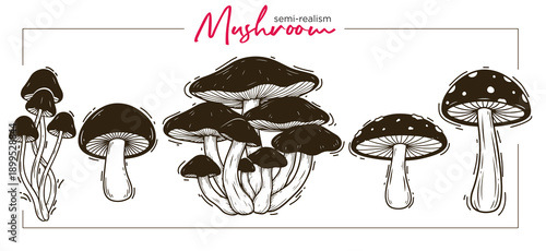 hand drawn vector illustration