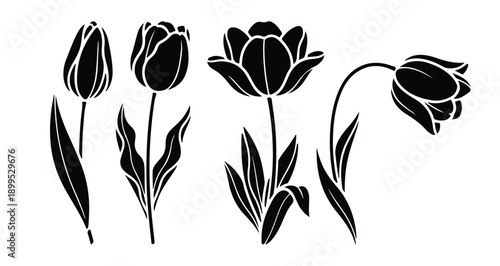 black and white flowers