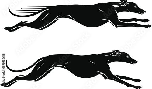 Running greyhound dog silhouette, fast racing animal in motion isolated on white background speed power agility concept