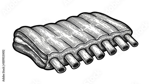 Delicious Rack of Ribs Hand Drawn Illustration.