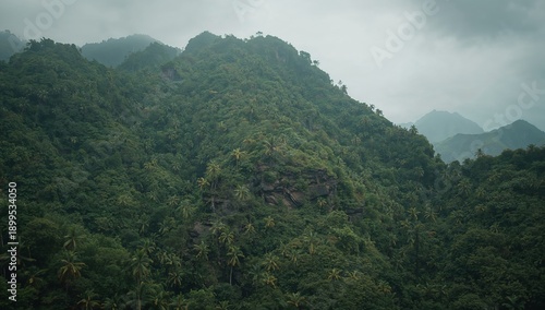 Cloudy Mountain Landscape With Dense Trees During the Day in a Tropical Region