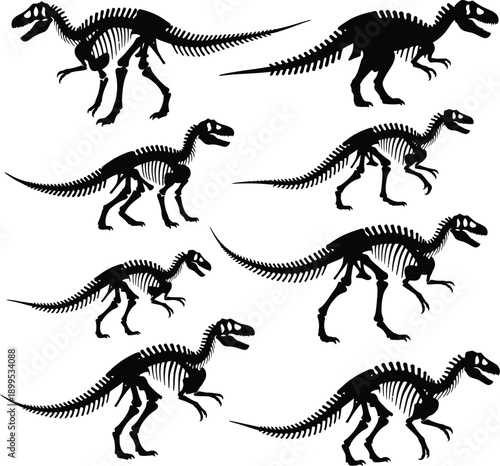 Dinosaur Skeletons Running on White Background