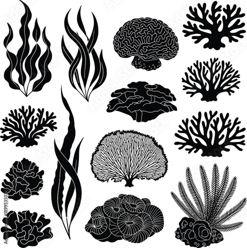 Coral Reef Silhouettes on White Background