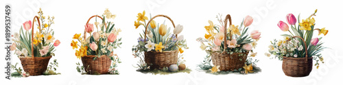 Spring flower bouquet in watercolor basket, flower shop display with tulips and daffodils, charming botanical market stall with fresh flowers in wicker containers. Vector illustration.