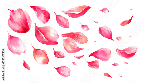 Watercolor pink flower petals falling gracefully create romantic spring background. Delicate cherry blossom petals drift through soft pastel design perfect for wedding invitations. 