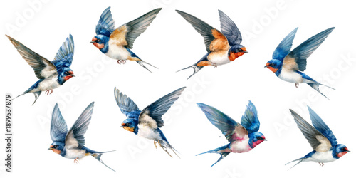 Spring bird collection with swallow illustrations in watercolor style. Delicate flight poses, cherry blossoms, and cute sketches perfect for cards, posters, and nature-inspired designs. 