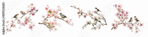 Spring bird collection in watercolor style with blooming sakura flowers, butterfly accents, and Japanese blossom branches creating charming floral flower compositions. Vector illustration.