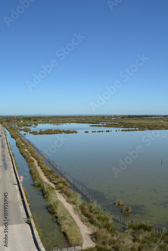 Wallpaper Mural Vue des marais en Camargue - Occitanie - France Torontodigital.ca