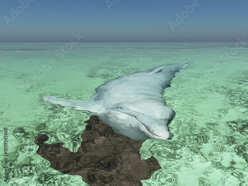 Delfin in Küstengewässern