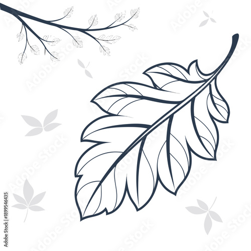 A delicate sketch of a lone autumn leaf with scattered small leaves around it