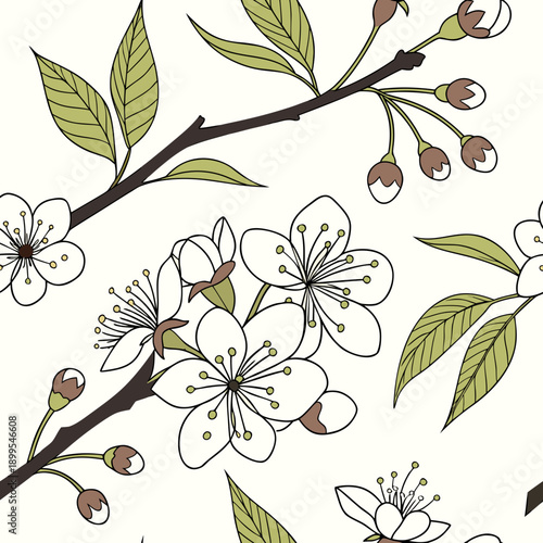 Elegant botanical illustration of blooming cherry blossoms on a light background