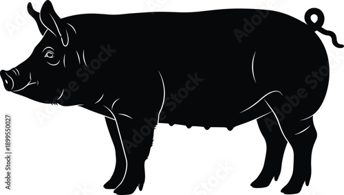 Black and white vector illustration of a domestic pig silhouette isolated on white background for farm animal livestock agriculture or butcher shop logo design.