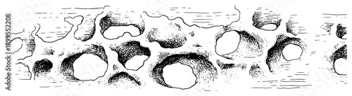 Detailed sketch of porous surface texture with deep holes and craters