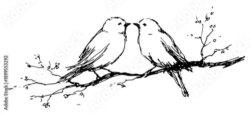 Sketch of two birds sitting on a tree branch