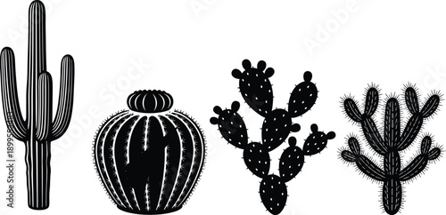 Cactus plant silhouette collection, desert succulent illustrations, black vector botanical elements for nature design, posters, logos, decor