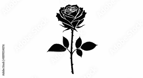 A single elegant black rose with leaves and thorns on a white background, symbolizing beauty and mystery.