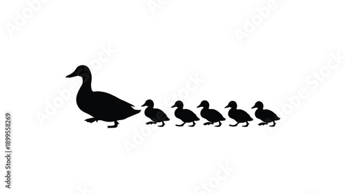 a mother duck leading her ducklings in a line silhouette