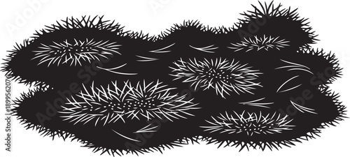 Black and white illustration of various seaweed on rocks
