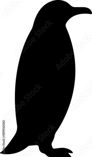 Penguin Flat Style Vector Black Icon, Antarctic Bird Silhouette Symbol and Wildlife Outline Graphic Group Featuring Penguin, Seabird and Flightless Bird