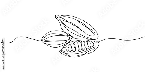 Single continuous line drawing of whole healthy organic cocoa bean for plantation logo identity. Fresh cacao concept for chocolate shop icon, Pro Vector, Continuous one line drawing of whole healthy.