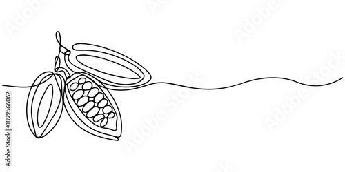 Single continuous line drawing of whole healthy organic cocoa bean for plantation logo identity. Fresh cacao concept for chocolate shop icon, Pro Vector, Continuous one line drawing of whole healthy.