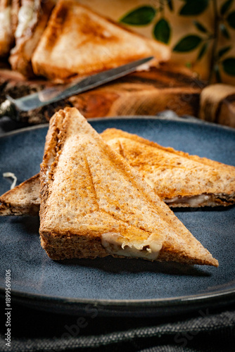 Grilled cheese sandwich.