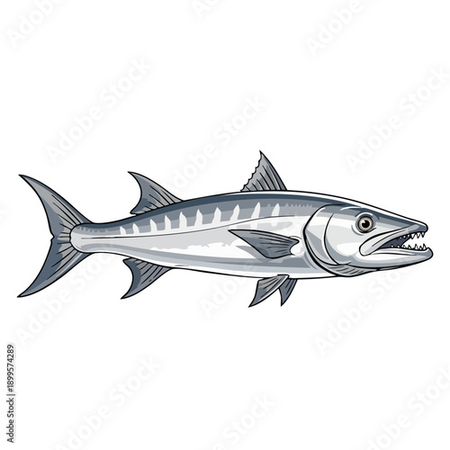 Detailed illustration of a tuna fish.