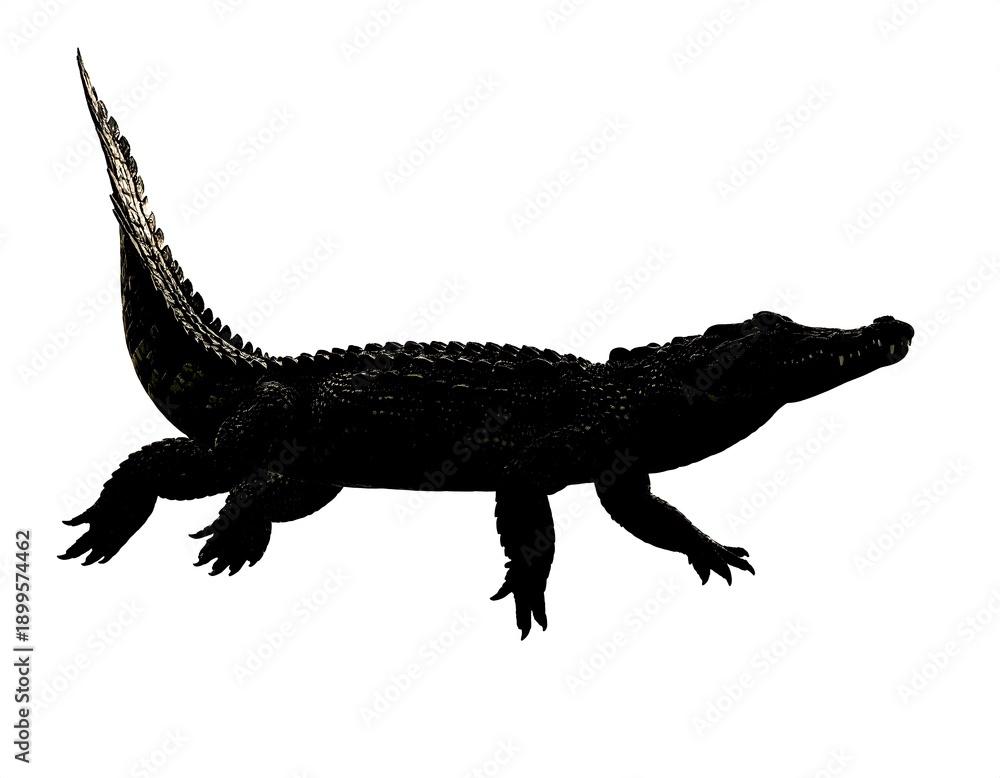 Fototapeta premium A large reptile with a long tail and sharp claws