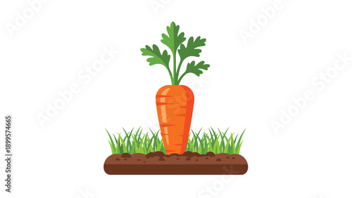 Illustration of a single orange carrot with green leaves growing in a patch of soil with green grass for gardening and organic food concepts.