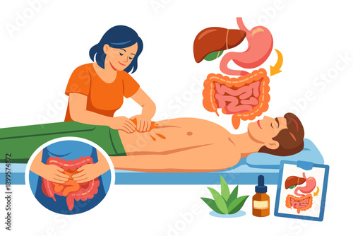 Abdominal massage therapy for digestive health and wellness