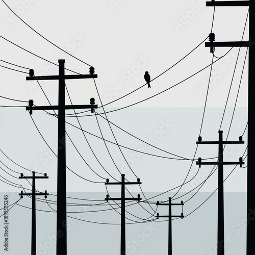 Electricity Pylons and Power Lines with Bird.
