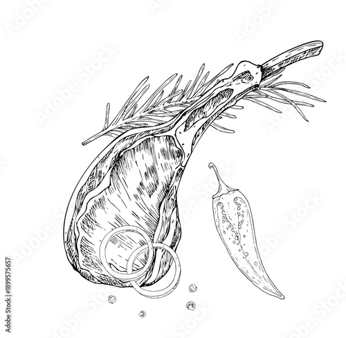 Vector Meat on the ribs with rosemary branch and peppercorns and onion. Graphic ink pork, ribeye, meet illustration, isolated on background. Hand drawn line sketch. For designers, prints, logo, icon