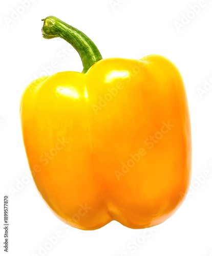 PNG, single ripe yellow bell pepper, close-up texture, transparent background, large photo