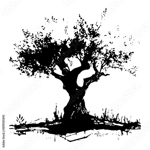 Old gnarled olive tree silhouette with twisted trunk in grunge ink style