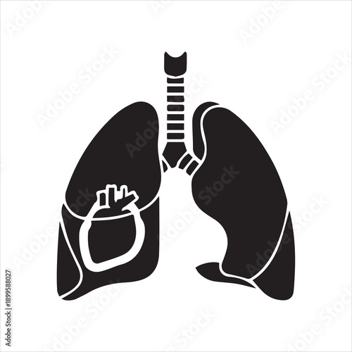  Black silhouette of human lungs and heart on white background.