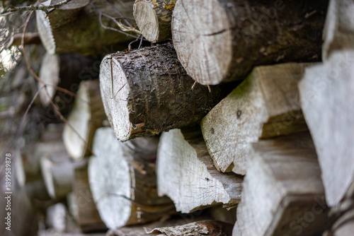 A logs of wood