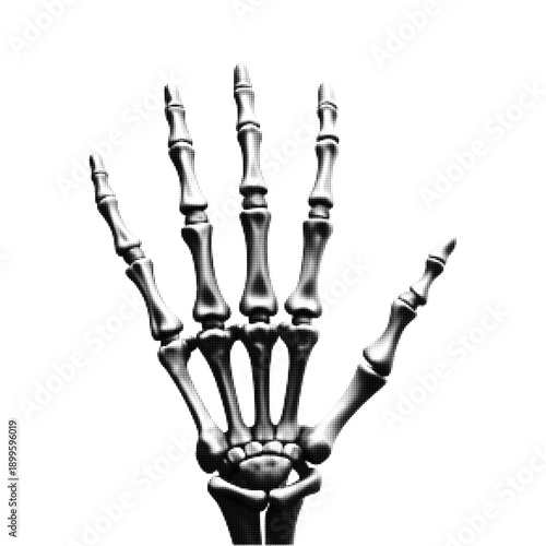 Human hand skeleton with spread fingers in black and white halftone illustration, isolated on white background, anatomy and medical concept for science, education, and design.
