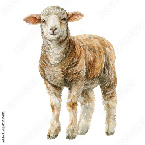 Lambs Quarters, watercolor painting vector, isolated on a white background.